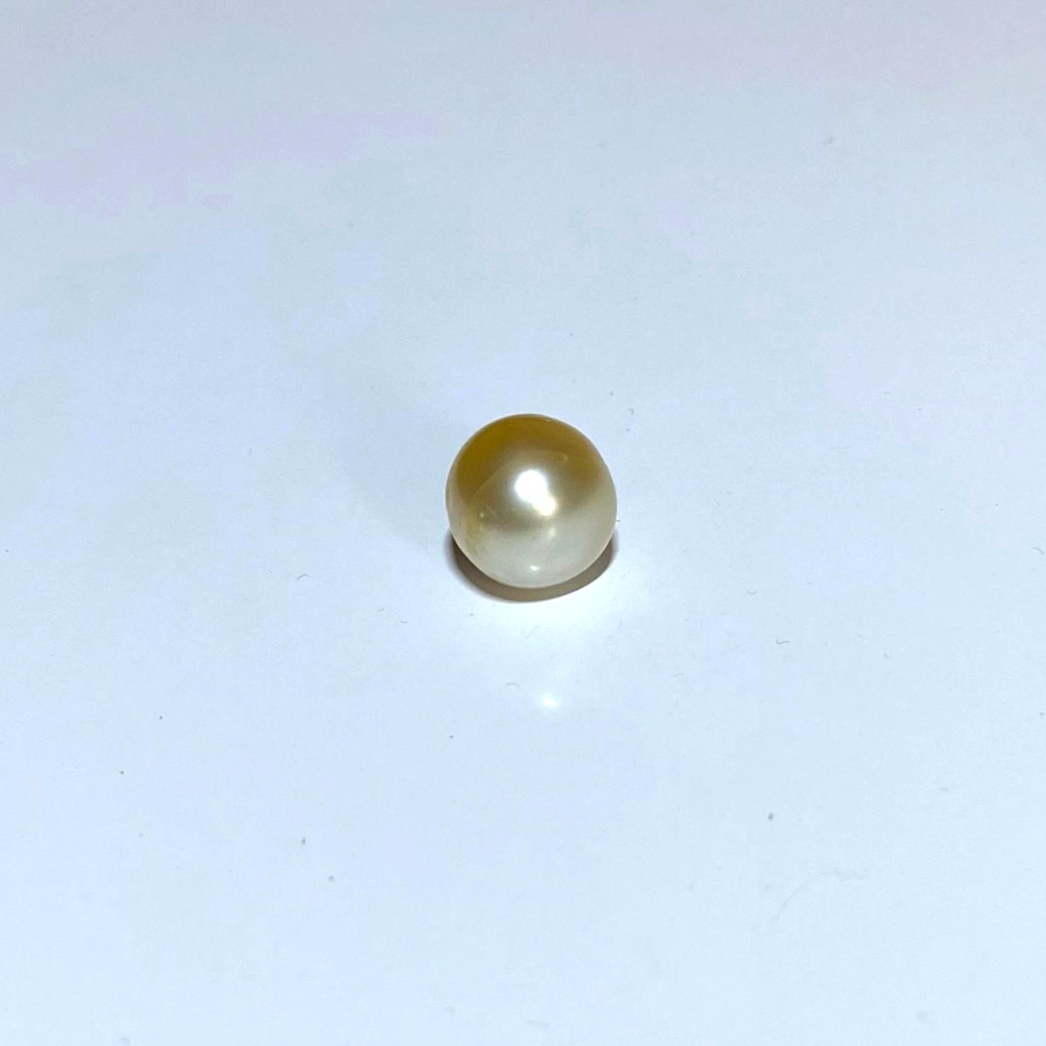 South Sea Pearl Near Round