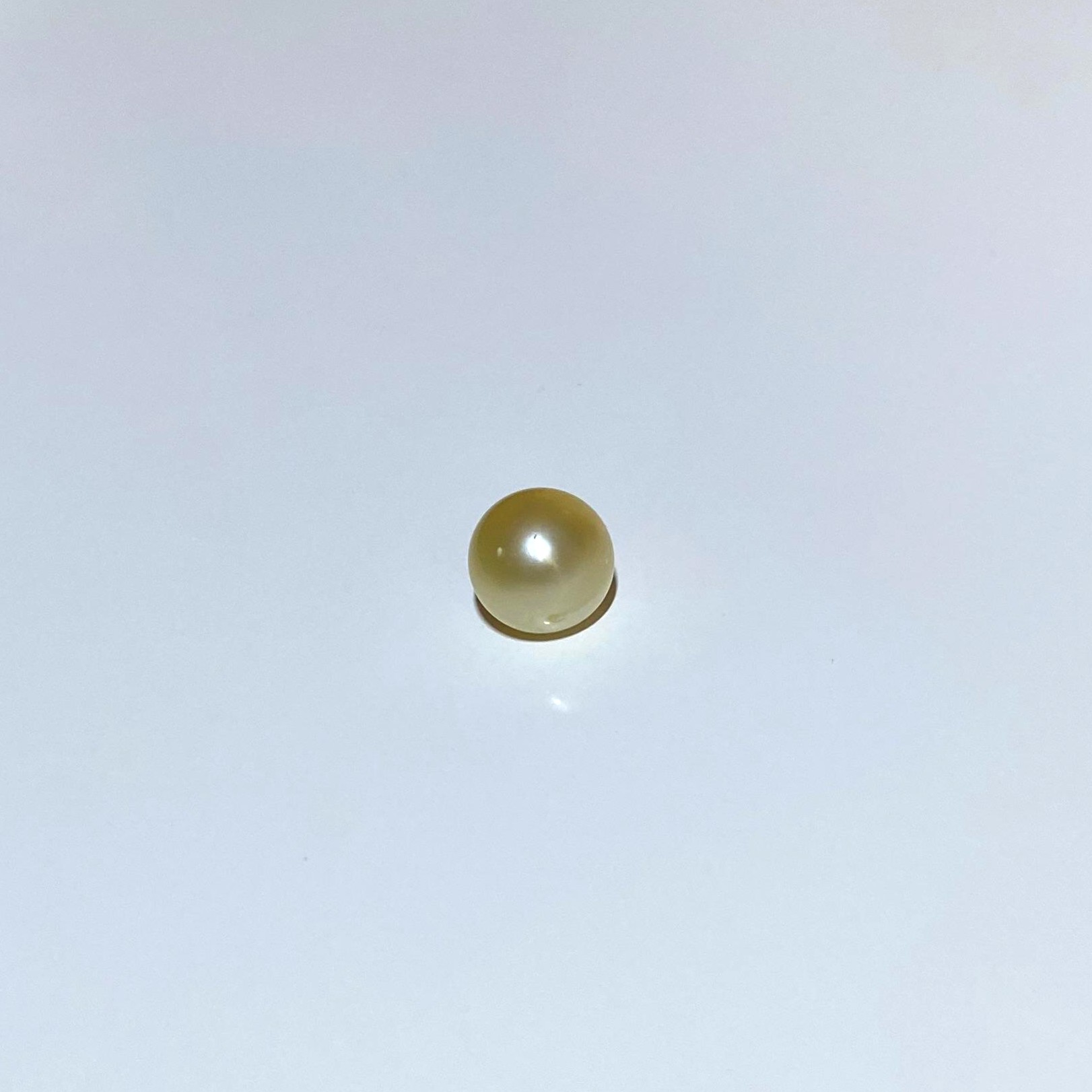 South Sea Oval Pearl